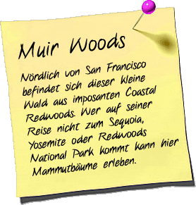 Muir Woods