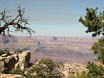 Grand Canyon Moran Point