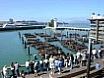 San Francisco Pier 39