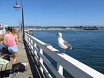 Santa Cruz Municipal Wharf