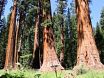 Sequoia National Park